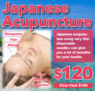 Japanese Acupuncture Ido Holistic Center